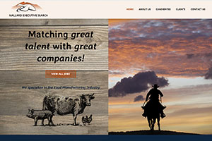 Mallard Executive Search